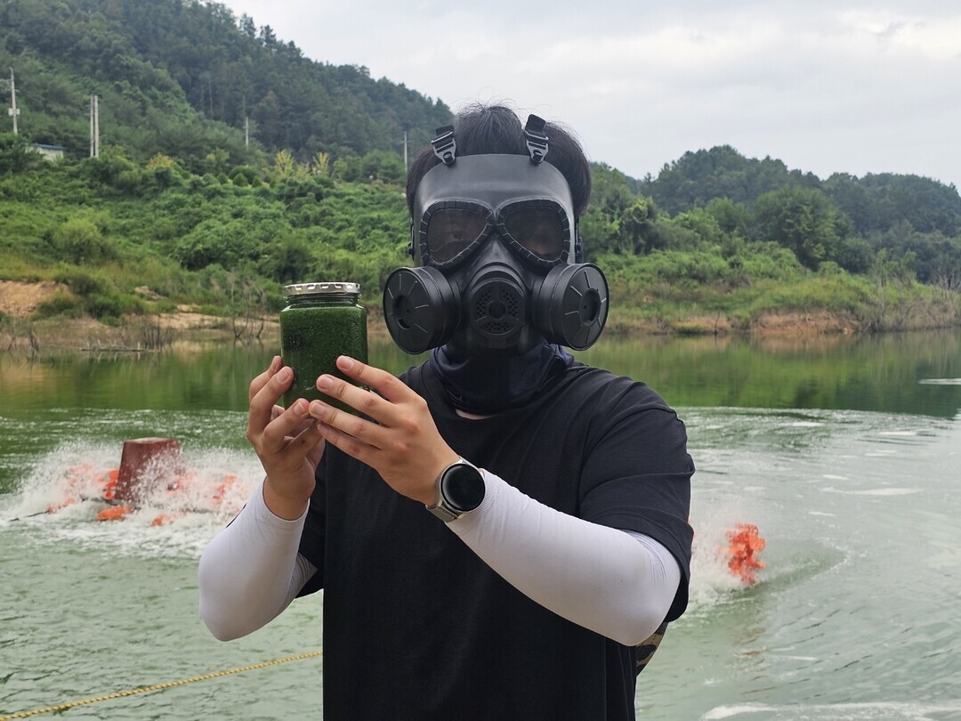 한강 녹조 발생했어도 그대로 뒀을까