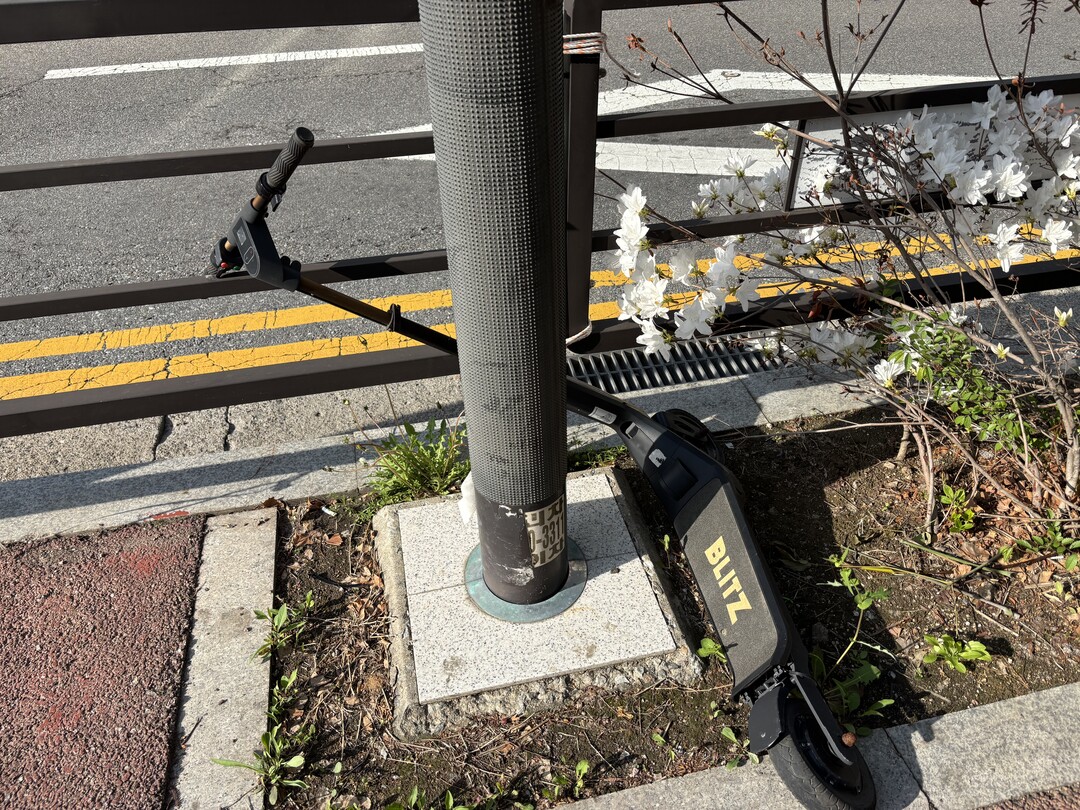 '전동킥보드 없는 거리' 가능하나