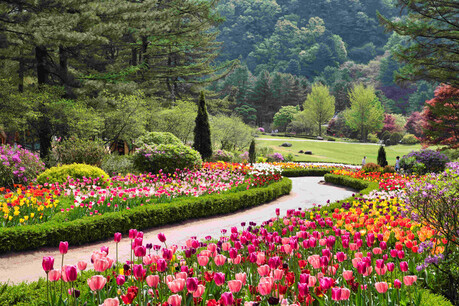 K-산림복지의 진화: 수목원·정원·휴양림 250곳 시대, ‘녹색 문명’의 지도를 그리다