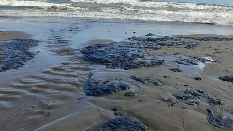 멕시코만 원유 유출 사고, 900km 해안가 초토화… 어민 생계 및 생태계 ‘비상’