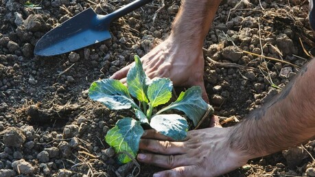 유기농업, 유럽의 식량 안보와 ‘전략적 자립’을 위한 핵심 열쇠로 부상