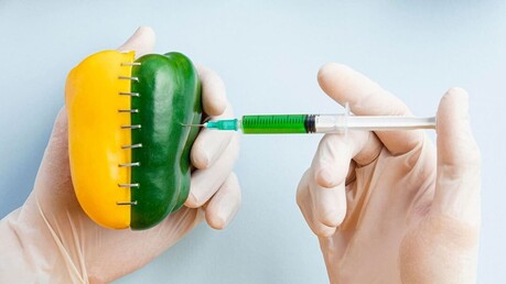 2026년 국제 유전자변형생물체(GMO) 반대의 날: 건강·환경·농업의 미래를 묻다