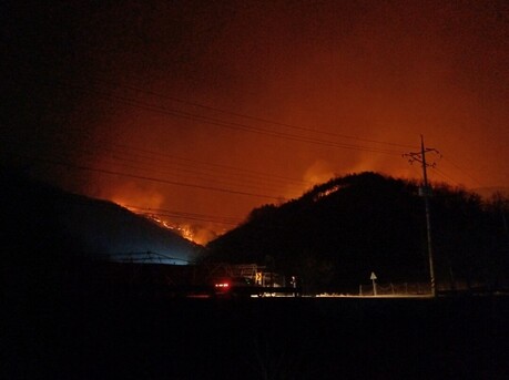 우리의 부주의로 발생하는 산불은 그야말로 자연재앙으로 변하며 생태계가 무너진다