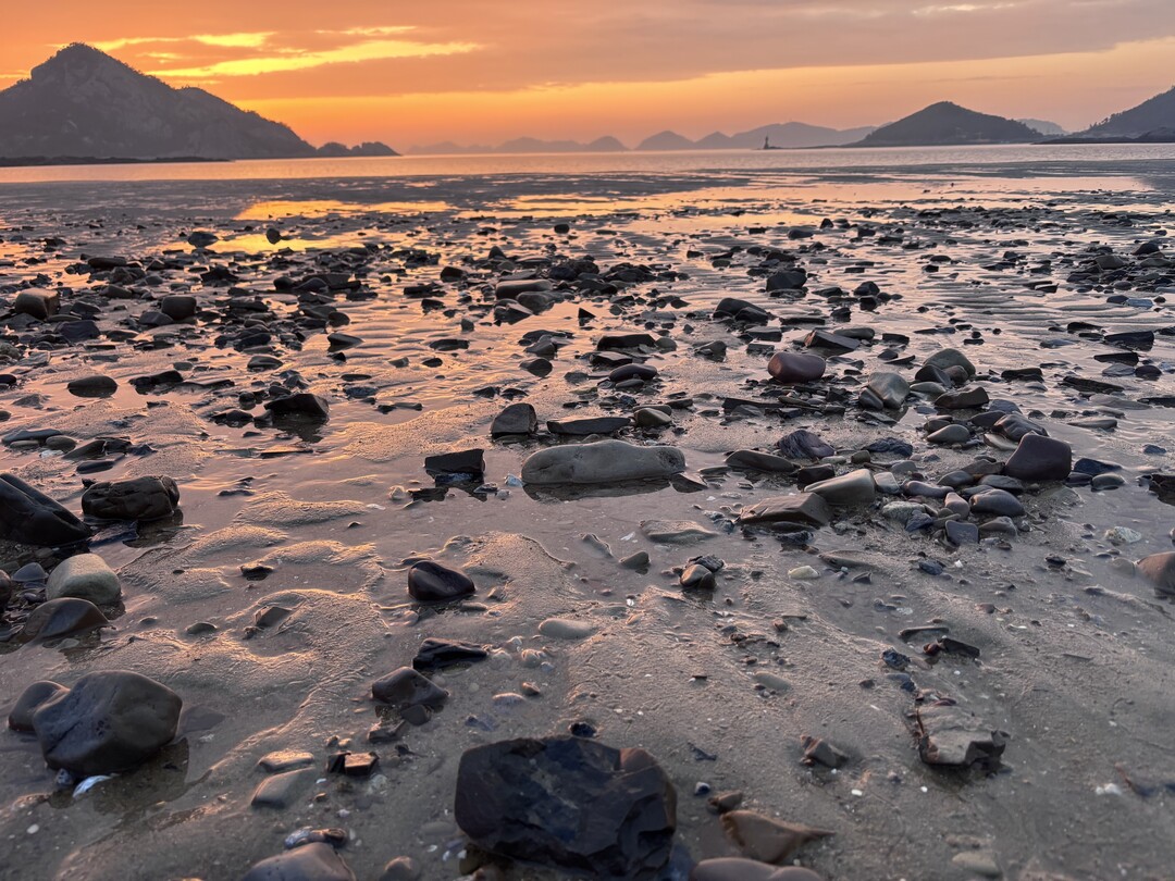 환경법학회, 새만금 신공항, 시선 냉...