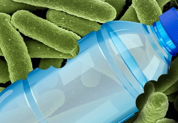 “자연의 반격”... 전 세계 미생물 95%, 플라스틱 분해 유전자 보유 확인