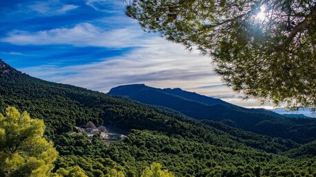 나무·건물 높이 재는 ‘라이다(LiDAR)’의 진화… 도시와 숲의 시공간적 변화 읽어낸다